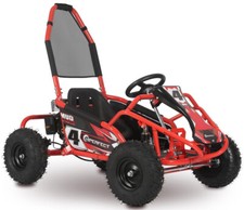 100cc Mud Monster - Renegade Kids Off Road Petrol Go Kart - Delivery Available