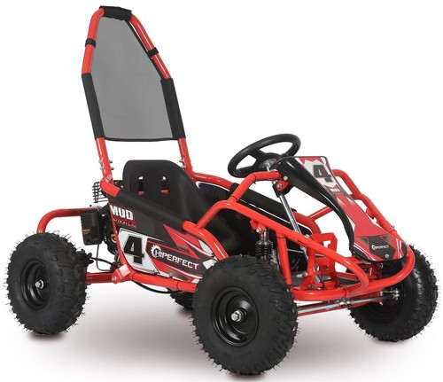 100cc mud monster renegade - mud,