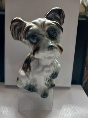 Cute china dog - china,