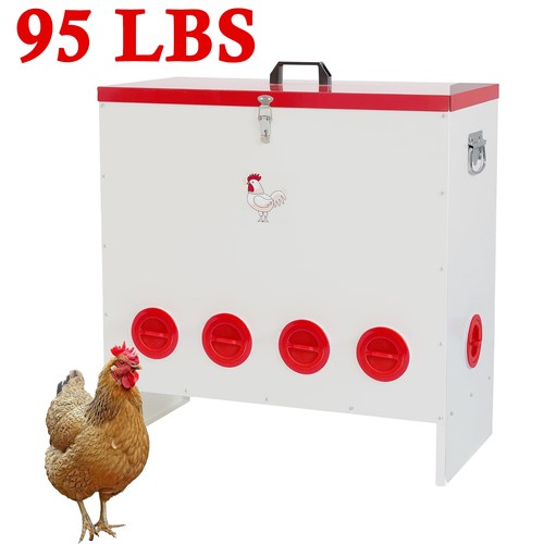 Automatic chicken feeder - automatic,