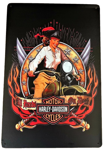 Harley pirate girl biker - harley, tin