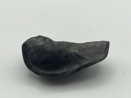 Whale ear bone - from, south