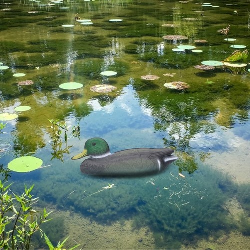 Realistic plastic duck decoy - realistic,
