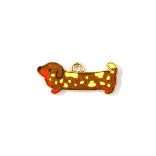 Cute fun dachshund - 10,