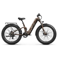 Electric Bike 960W, 48V 20AH