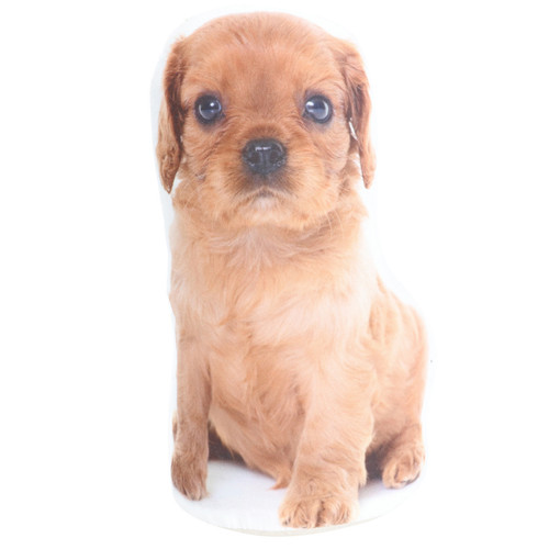 Dog puppy doorstop - doorstop,, king