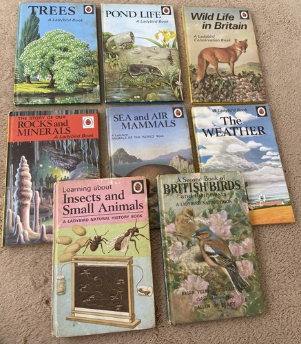 Vintage ladybird nature - vintage,