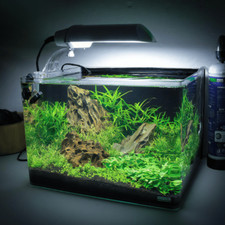 Dennerle Nano Tank - 35 Litres - Aquascaping Aquarium - 40 x 32 x 28 cm RRP £75
