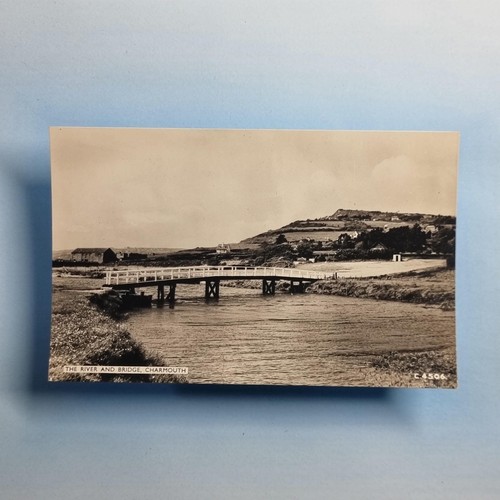 Charmouth postcard c1950 real - postcard,