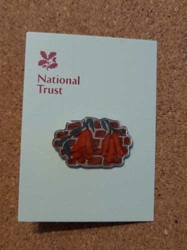 National trust tyntesfield - national,