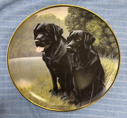 Black labrador plate sporting - labrador,
