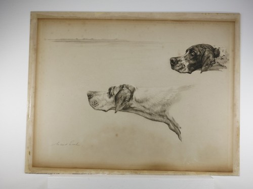 Rare pointers seabreeze and - rare,