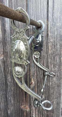 Western silver show - silver,