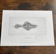 Gary Hodges Young Caiman