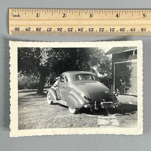 Vintage 1950 snapshot - snapshot, photo