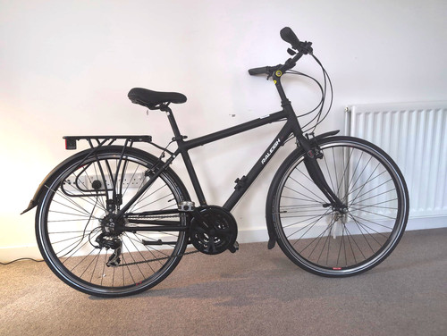 Raleigh pioneer speed - 21,