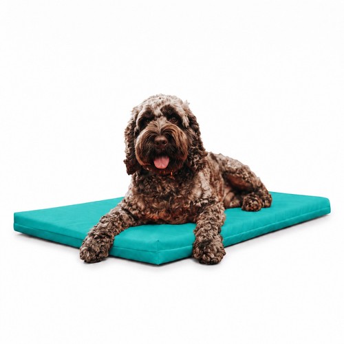Maximum pet products - maximum, tough