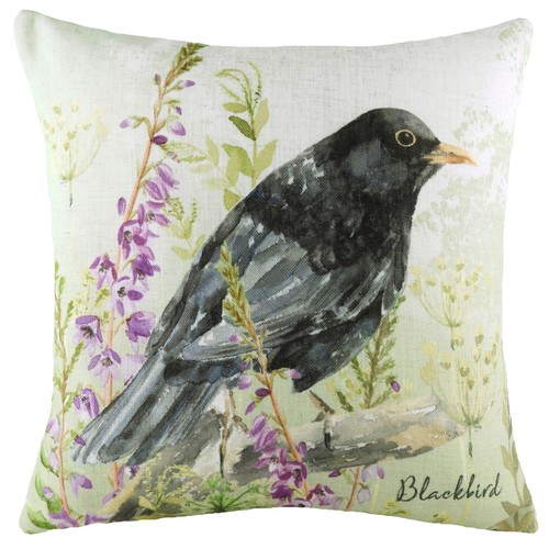 Evans lichfield blackbird - evans,