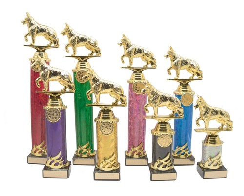 Personalised gold dog show - dog,