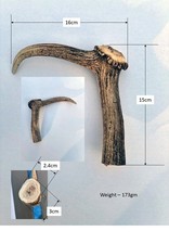 Fallow Deer Antlers