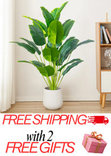 60CM Artificial Tropical Palm