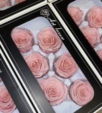 6 PRESERVED PINK REAL ROSES ETERNAL INFINITY LAST UPTO 1 YEAR 5/6cm