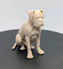 Boxer Dog Miniature Home