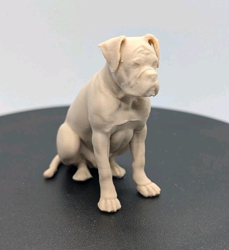 Boxer dog miniature - boxer,