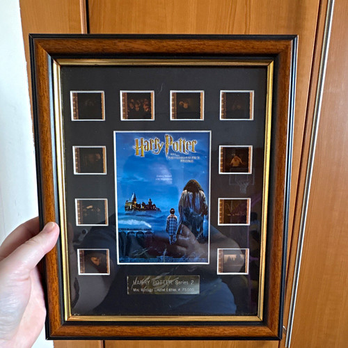 Harry potter mounted - harry,