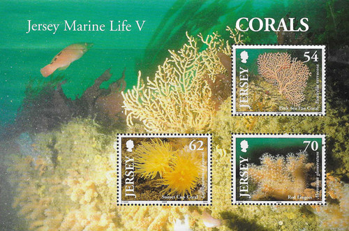 Jersey marine life corals - jersey,