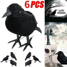 Realistic Black Crow Halloween