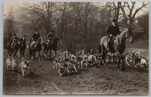 Yorkshire unidentified hunt - yorkshire,
