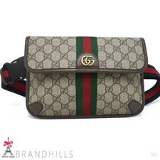 GUCCI Belt Bag Men s Ladies GG