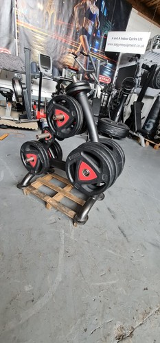 237 5kg ziva olympic weight - 237.5kg,