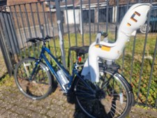 Ridgeback Dimension 24 with