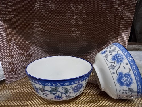 White blue ceramic noodle - white,