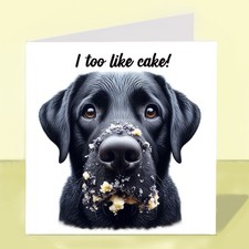Black Labrador Dog, Birthday