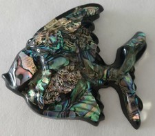 New Zealand  Paua Shell Fish