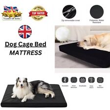 Orthopedic Dog Bed, Large