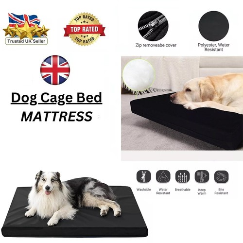 Orthopedic dog bed - orthopedic, bed,