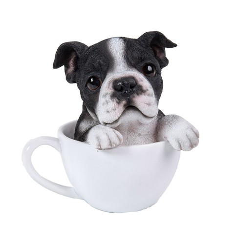 Boston terrier teacup - pt,