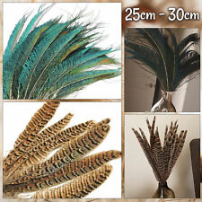 10x Natural Pheasant Tail