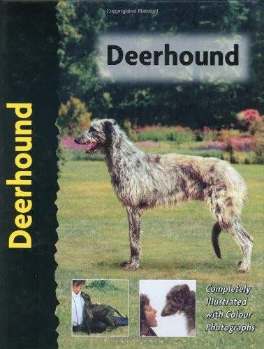 Deerhound cunliffe juliette - deerhound,, cunliffe,