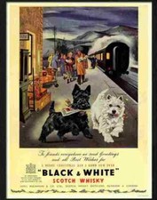 Advert Photo 7 black and white