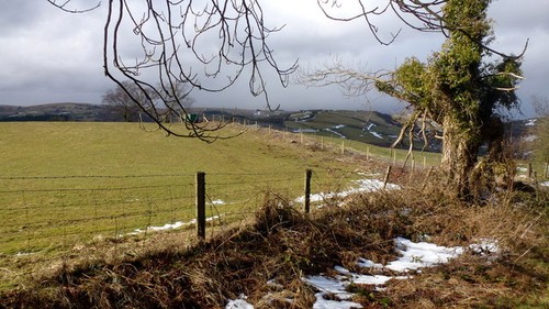 Photo 6x4 pasture - pasture, land