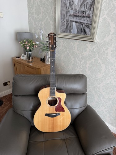 Taylor 214 dlx ltd - 214, qs
