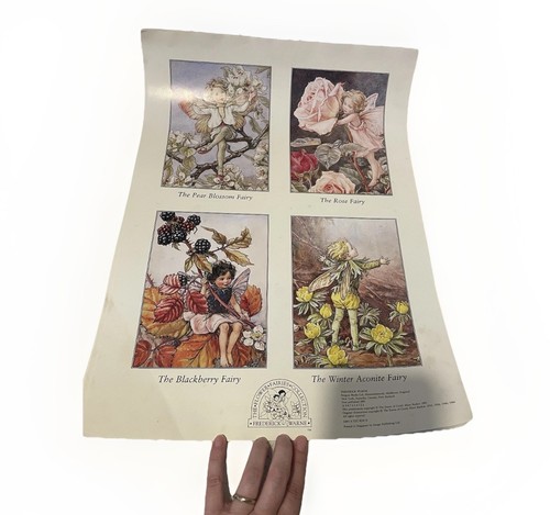 The flower fairies fairy - the,