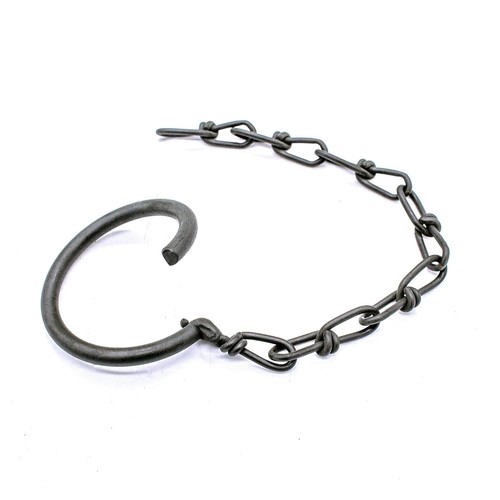 Retaining ring and chain - chain,