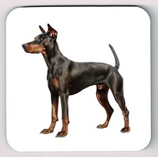Doberman Pinscher Watercolour