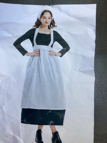 Housemaid servant maid - housemaid,